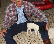 2008 Lost Dorper Lamb
